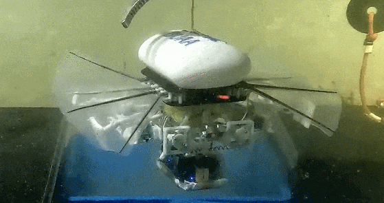 我国1.5Kg小型机器人如何在万米深海游泳？科学突破引发关注！