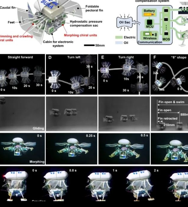 我国1.5Kg小型机器人如何在万米深海游泳？科学突破引发关注！