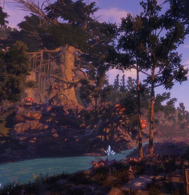 新手必备！黑光生存进化初级营地攻略，提升生存技巧！