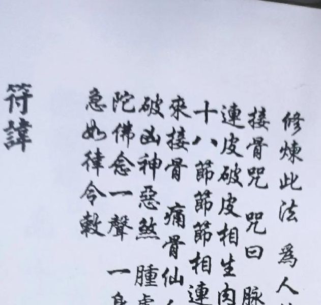 解密梦见接骨木的象征意义提升心理健康和内心平静的方法