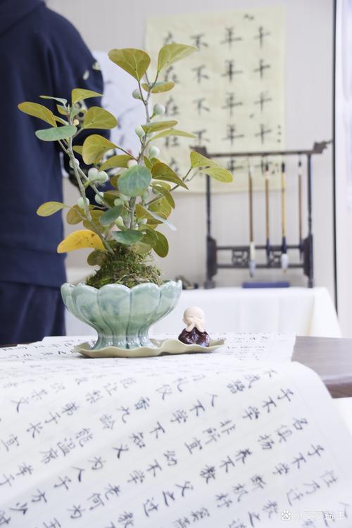 解密梦见接骨木的象征意义提升心理健康和内心平静的方法