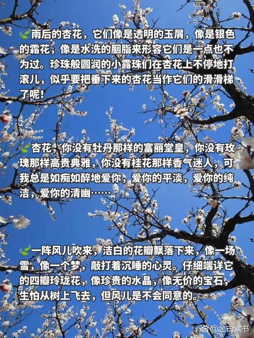 从梦见杏花到生活启示5个权威心灵解读 从梦见杏花到生活启示5个权威心灵解读