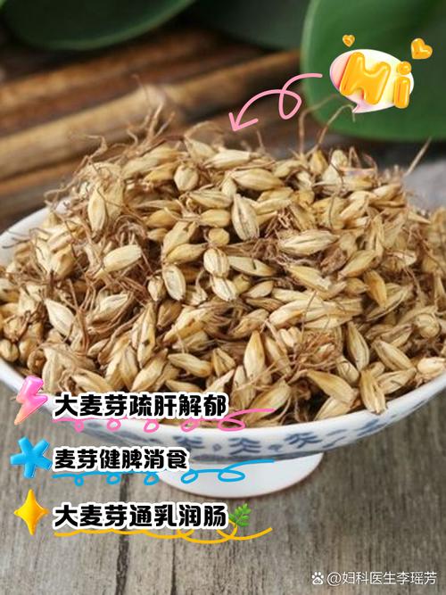 梦见麦芽的深刻寓意解析,用户探索梦境背后的心理启示! 梦见麦芽的深刻寓意解析,用户探索梦境背后的心理启示!