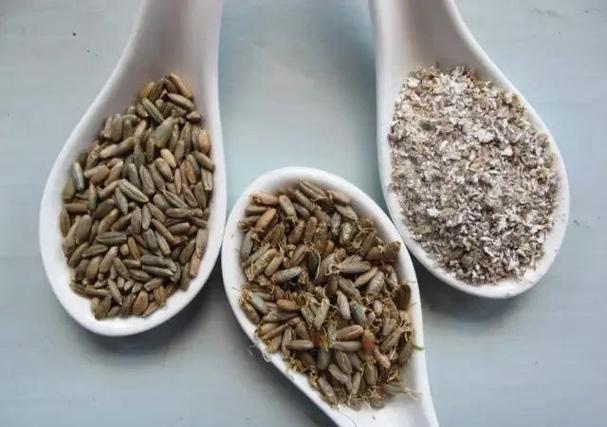 梦见麦芽的深刻寓意解析,用户探索梦境背后的心理启示! 梦见麦芽的深刻寓意解析,用户探索梦境背后的心理启示!