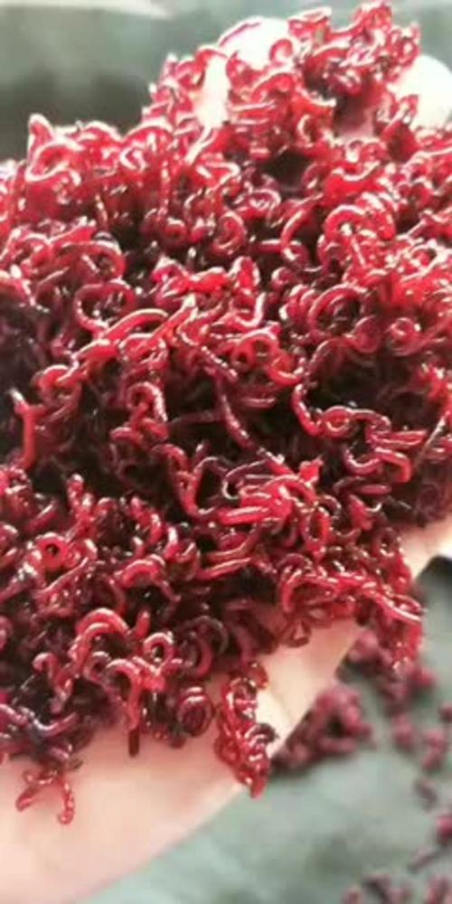 梦见红虫象征意义心理暗示与好运并存的解读 梦见红虫象征意义心理暗示与好运并存的解读