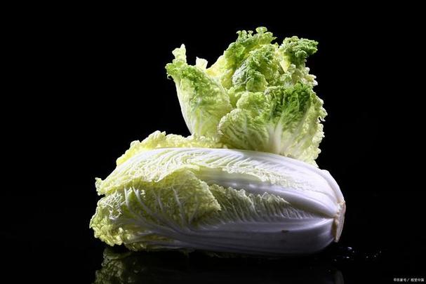 梦见白菜地寓意解析高效解决方案助您揭开梦境之谜 梦见白菜地寓意解析高效解决方案助您揭开梦境之谜