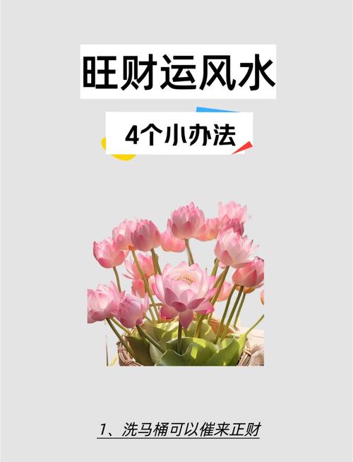 梦见河岸解梦指南提升财运与心理健康秘诀 梦见河岸解梦指南提升财运与心理健康秘诀