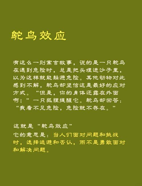 梦见被鸟啄意味着哪些？解读梦境的5个心理学真相