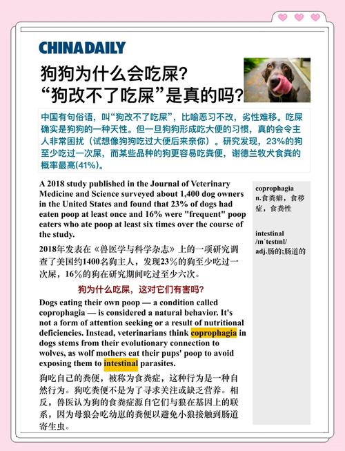 梦见狗吃屎意味着哪些？解读常见的梦境象征，了解背后的心理暗示