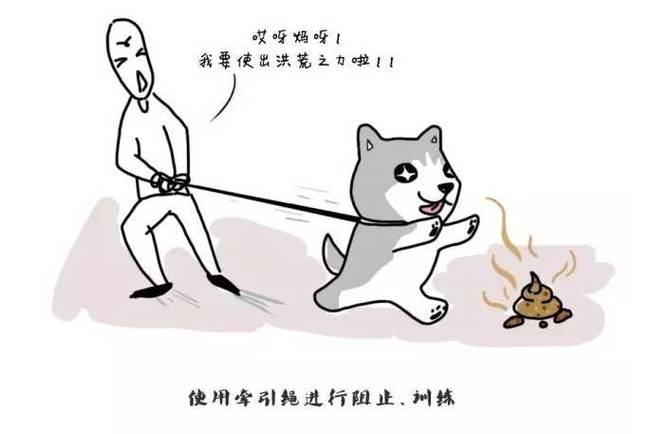 梦见狗吃屎意味着哪些？解读常见的梦境象征，了解背后的心理暗示