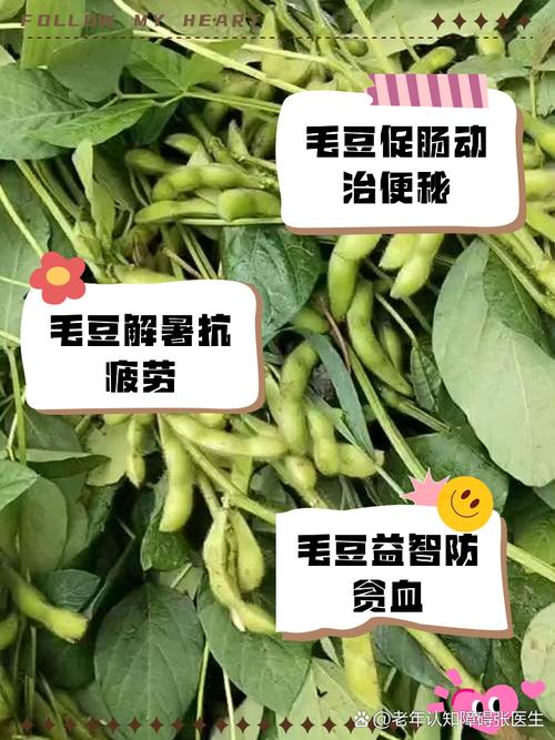 梦见毛豆解析提升运势的实用指南与健康益处
