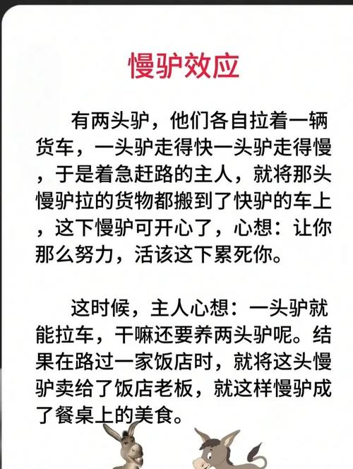 揭秘梦见被驴踢的5大象征意义及解梦技巧 揭秘梦见被驴踢的5大象征意义及解梦技巧