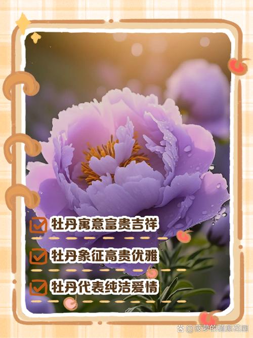梦见天竺牡丹的5种象征意义与运势解读 梦见天竺牡丹的5种象征意义与运势解读