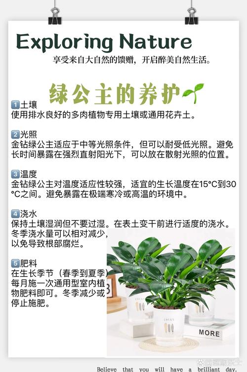 解读梦见花盆的5种寓意,揭示好运背后的秘密 解读梦见花盆的5种寓意,揭示好运背后的秘密
