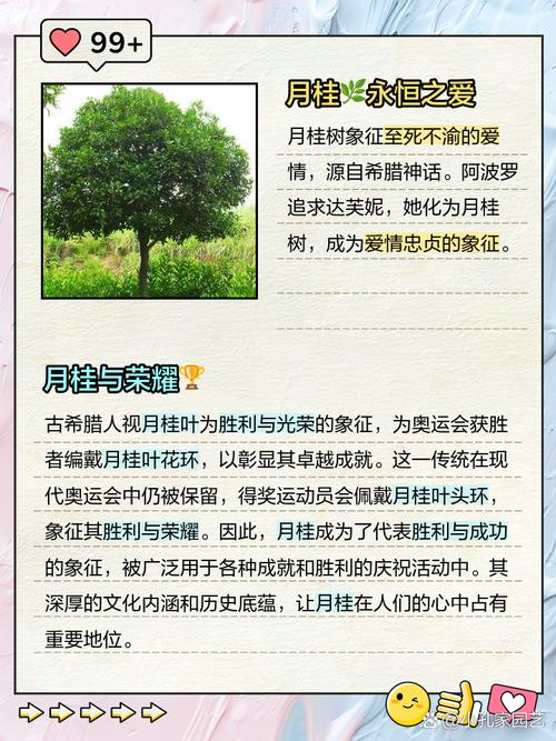 梦见月桂树象征哪些?探索梦境背后的深层意义 梦见月桂树象征哪些?探索梦境背后的深层意义