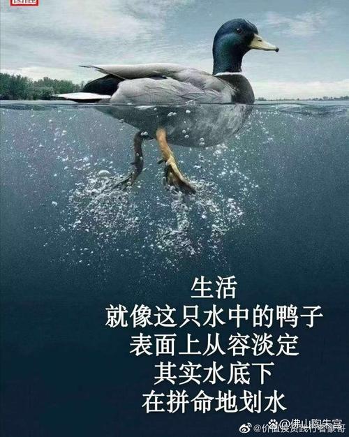 梦见水平线隐藏寓意？揭秘它在生活中的启示！