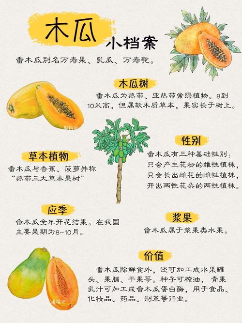 梦见木瓜预示着哪些?探索其深层次心理暗示 梦见木瓜预示着哪些?探索其深层次心理暗示