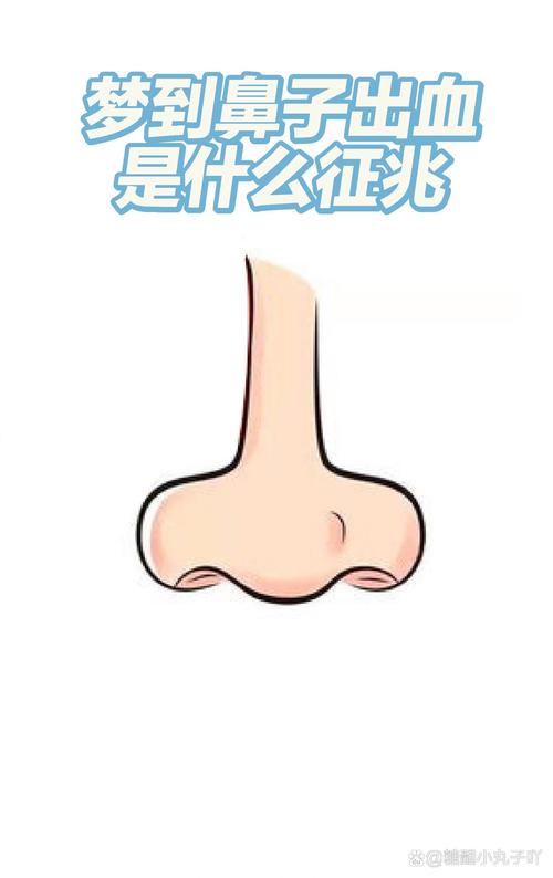 梦见鼻梁预示哪些？揭示梦境背后的心理暗示