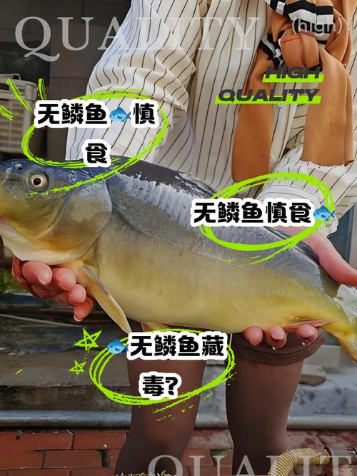 梦见无鳞鱼深度解析背后的心理象征与启示 梦见无鳞鱼深度解析背后的心理象征与启示