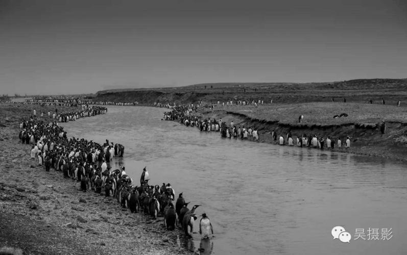 梦见面粉厂预示着哪些？深入解读内心渴望与潜在转机！