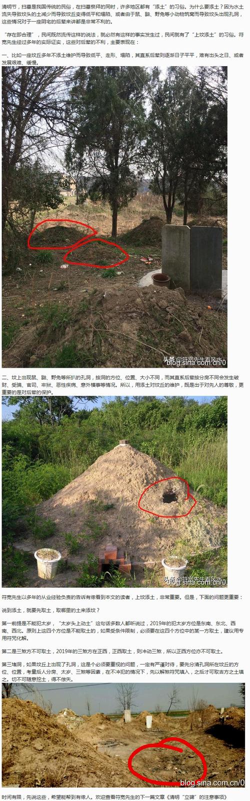 梦见图钉解析心理暗示 vs 风水预兆，哪个更准确？