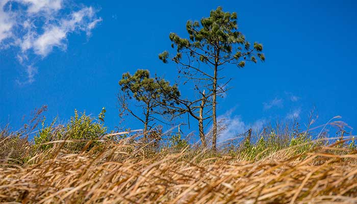 解密梦见穿堂风深度解析内心隐秘情感信号