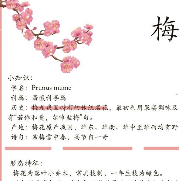 梦见梅花牌解析情感转变及好运预示的深度分析 梦见梅花牌解析情感转变及好运预示的深度分析