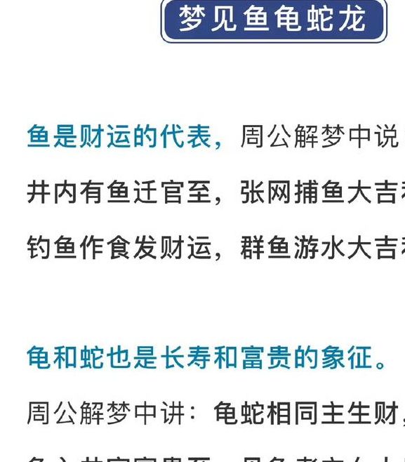 梦见装饰物象征解读提升居家运势的小技巧揭秘