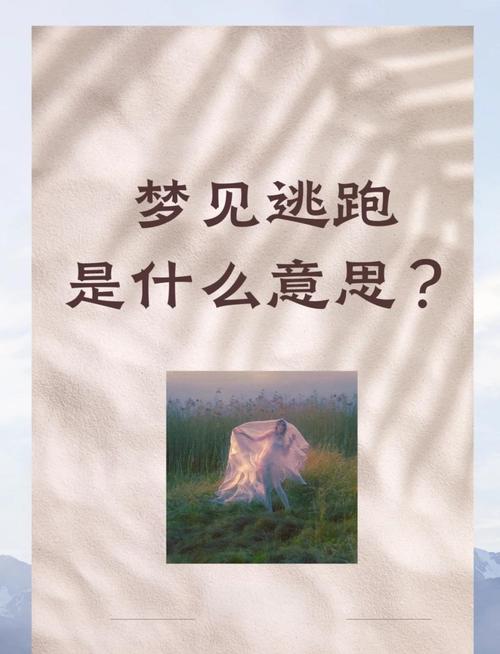梦见赛跑预示哪些？深度解析梦境背后的心理暗示