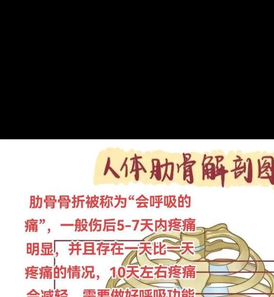 解析梦中肋骨象征意义，解锁心理成长秘诀