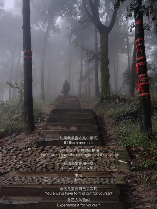 梦见雨中登山解读隐秘心灵信号及高效自我调节法
