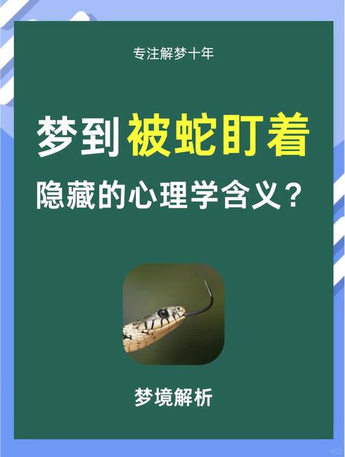 梦见无鳞的5种解读及其背后心理学分析