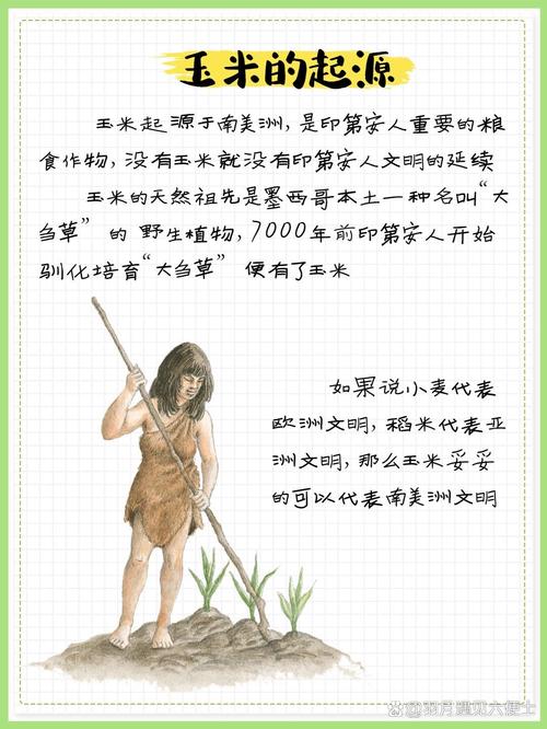 梦见打谷脱粒代表哪些？深入解读其象征意义及生活启示