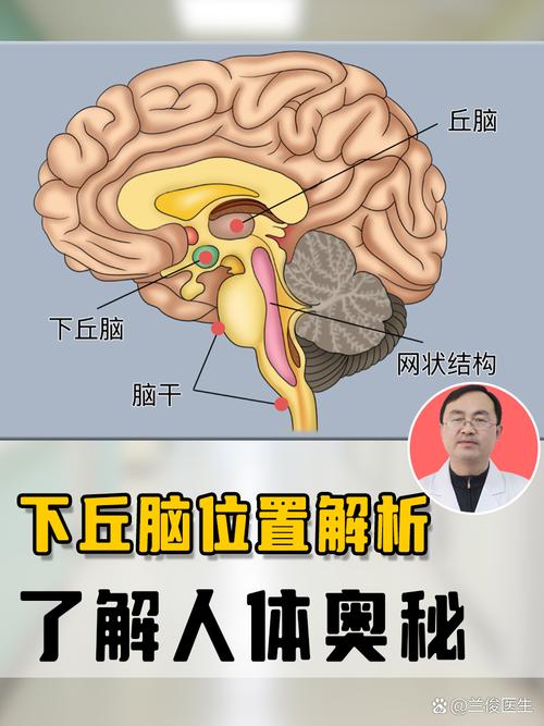 解密梦见脑袋的7大原因及其背后科学原理 解密梦见脑袋的7大原因及其背后科学原理