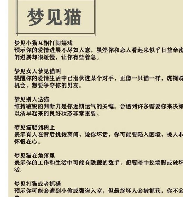 梦见兔子 vs 梦见猫解读梦境背后的心理暗示