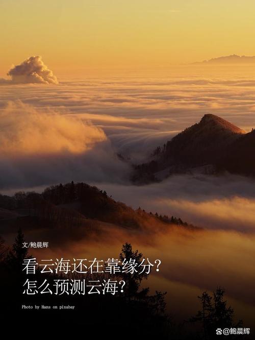 梦见云海预示哪些?解密神秘梦境背后隐藏的心灵启示 梦见云海预示哪些?解密神秘梦境背后隐藏的心灵启示