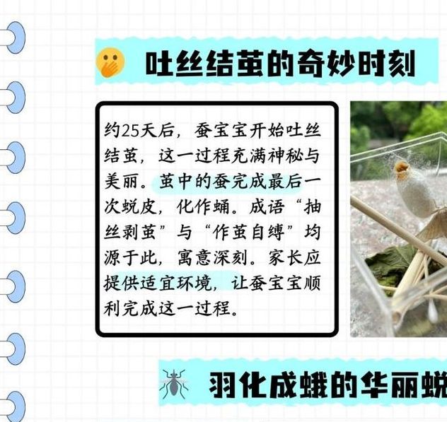 梦见蚕蛾出茧意味着哪些?揭秘背后的心理暗示与生活启示 梦见蚕蛾出茧意味着哪些?揭秘背后的心理暗示与生活启示