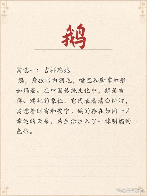 梦见鹅毛揭示其象征意义与高效解读方案