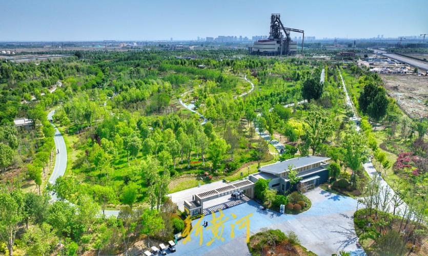 济南生态环境：如何为美丽高新增绿添彩？