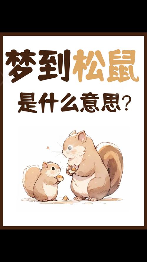 12个权威解读梦见松鼠的深层象征与预示含义
