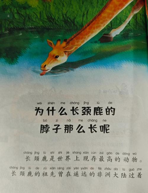 长颈鹿梦境解析吉祥征兆还是潜藏隐忧? 长颈鹿梦境解析吉祥征兆还是潜藏隐忧?