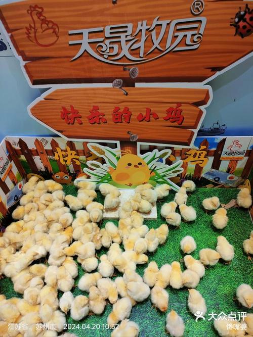 ‘十四五’时期究竟意味着什么？手游玩家必知的小鸡宝宝问答攻略