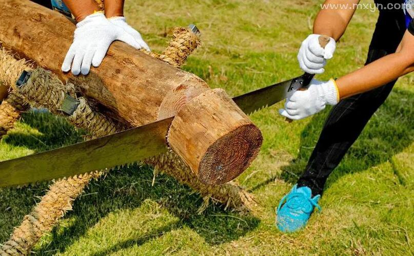 梦见木锯象征解析预示人生转折，提升个人发展潜力