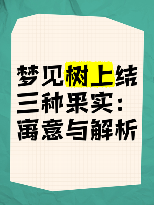 梦见装饰的深层寓意解析，用户引发内心共鸣与美好想象！