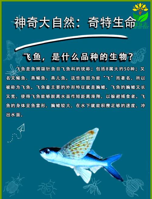 梦见鱼在空中飞象征哪些？解密背后隐藏的吉凶预兆！