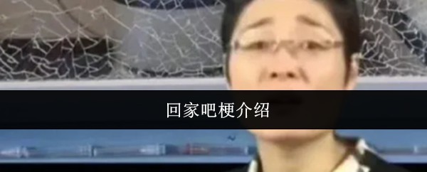 手游攻略揭秘：回家吧梗深度解析与高效解决方案