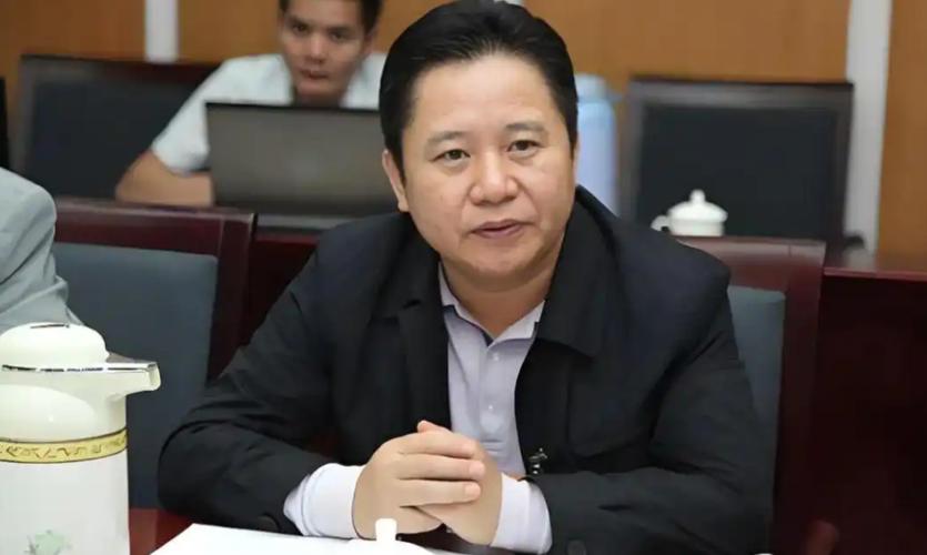 双开揭秘：海南省纪委原副书记陈笑波事件详细解析，深度剖析背后的反腐风暴