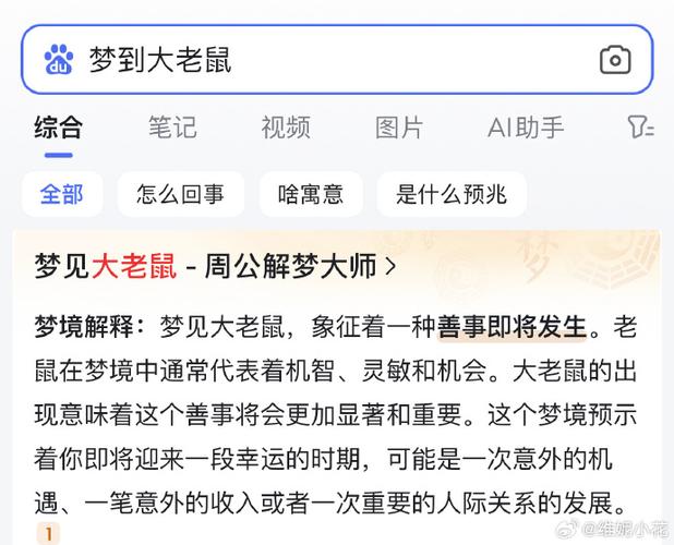 梦见耗子预示着哪些？揭开你不知道的心理暗示！