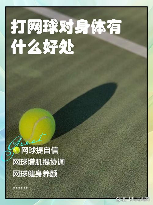 梦见网球象征意义解析高效解决方案助力理解生活变化