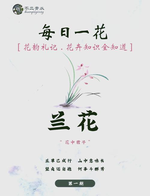 梦见兰花发芽解读其象征意义与潜在启示